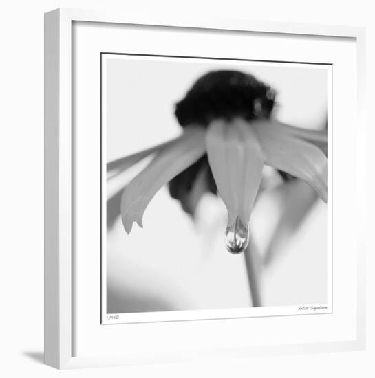 Botanical Study 11-Stacy Bass-Framed Giclee Print