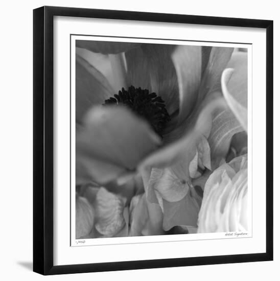 Botanical Study 12-Stacy Bass-Framed Giclee Print