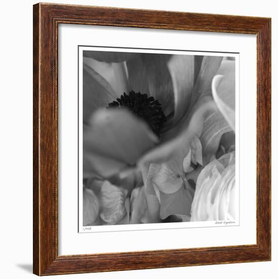 Botanical Study 12-Stacy Bass-Framed Giclee Print