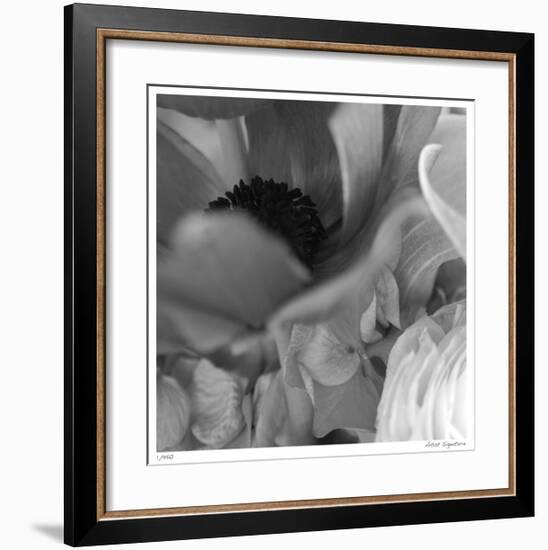 Botanical Study 12-Stacy Bass-Framed Giclee Print