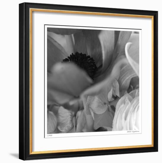 Botanical Study 12-Stacy Bass-Framed Giclee Print