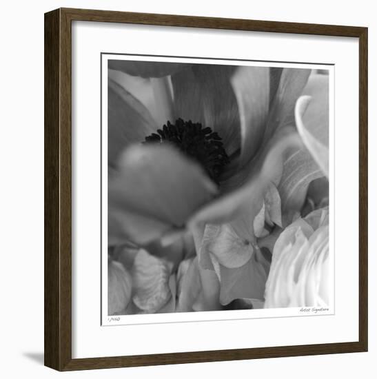 Botanical Study 12-Stacy Bass-Framed Giclee Print