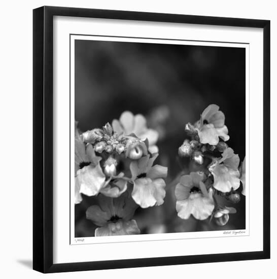 Botanical Study 13-Stacy Bass-Framed Giclee Print