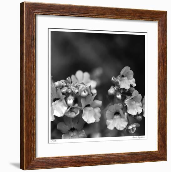 Botanical Study 13-Stacy Bass-Framed Giclee Print