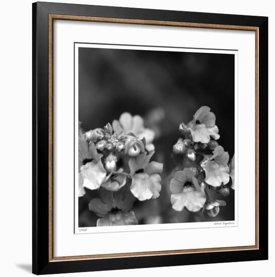 Botanical Study 13-Stacy Bass-Framed Giclee Print