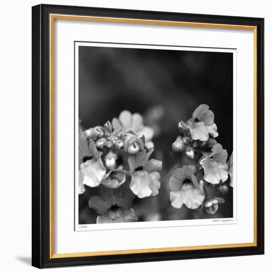 Botanical Study 13-Stacy Bass-Framed Giclee Print