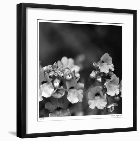 Botanical Study 13-Stacy Bass-Framed Giclee Print