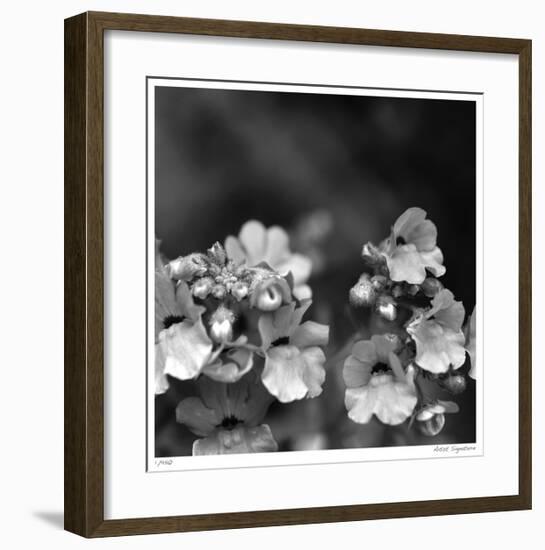 Botanical Study 13-Stacy Bass-Framed Giclee Print