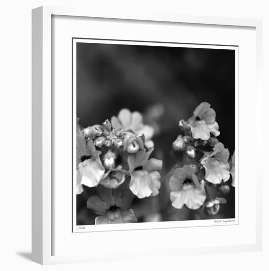 Botanical Study 13-Stacy Bass-Framed Giclee Print