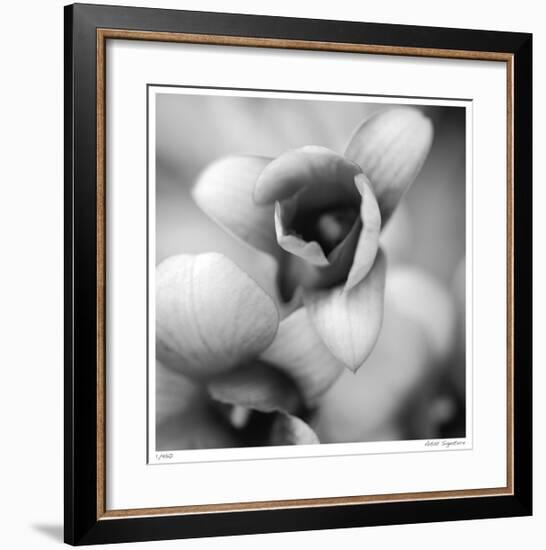 Botanical Study 14-Stacy Bass-Framed Giclee Print