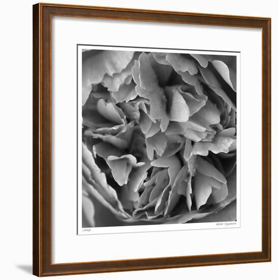 Botanical Study 15-Stacy Bass-Framed Giclee Print