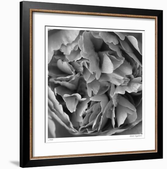 Botanical Study 15-Stacy Bass-Framed Giclee Print