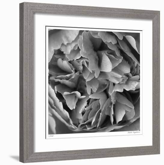 Botanical Study 15-Stacy Bass-Framed Giclee Print