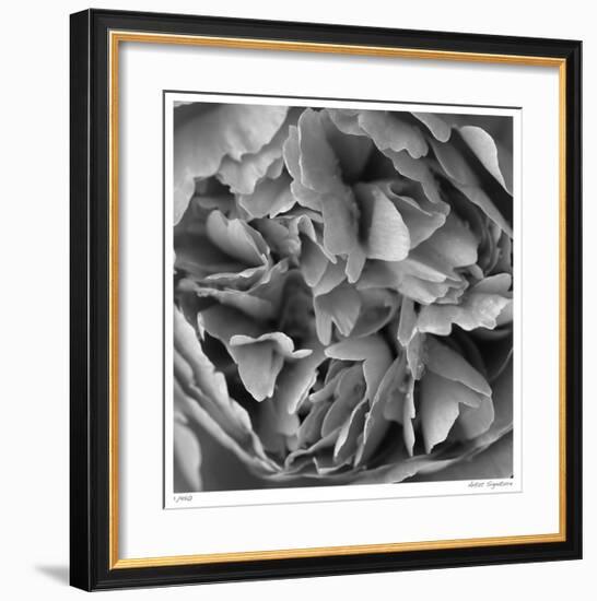 Botanical Study 15-Stacy Bass-Framed Giclee Print