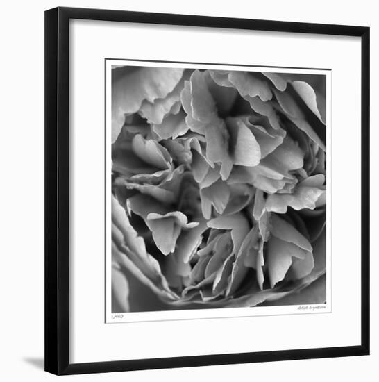 Botanical Study 15-Stacy Bass-Framed Giclee Print