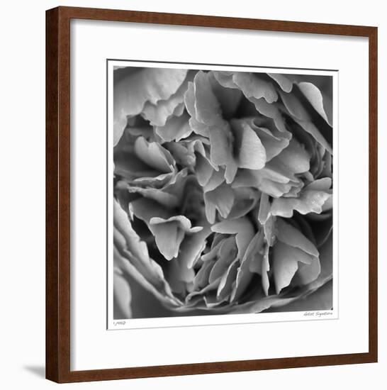 Botanical Study 15-Stacy Bass-Framed Giclee Print