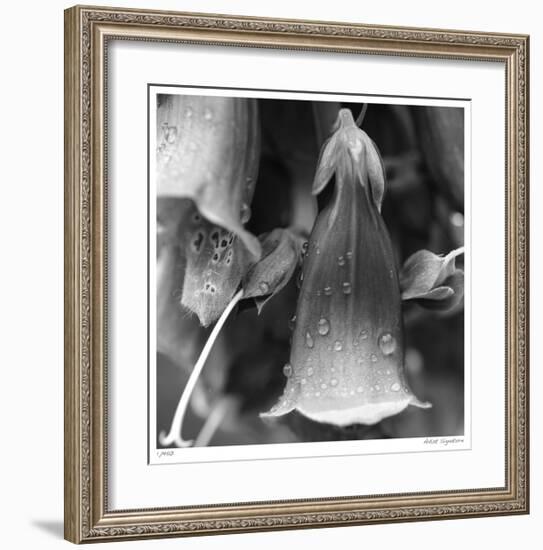 Botanical Study 18-Stacy Bass-Framed Giclee Print