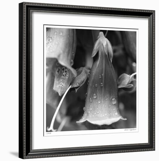 Botanical Study 18-Stacy Bass-Framed Giclee Print