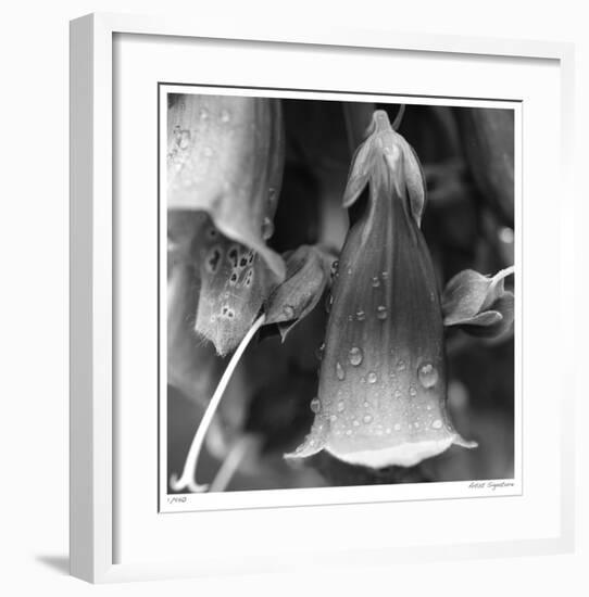 Botanical Study 18-Stacy Bass-Framed Giclee Print