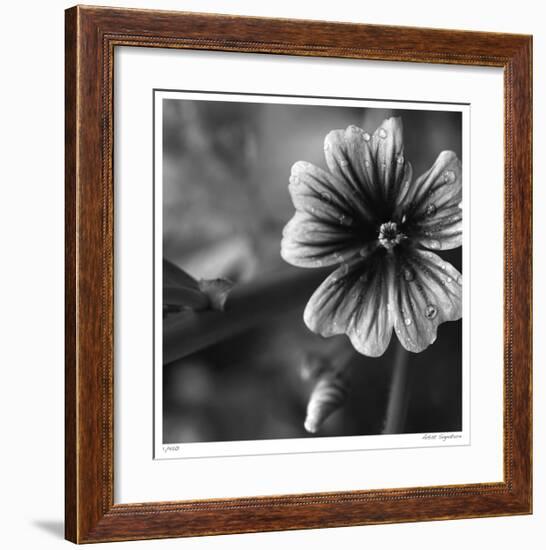 Botanical Study 19-Stacy Bass-Framed Giclee Print