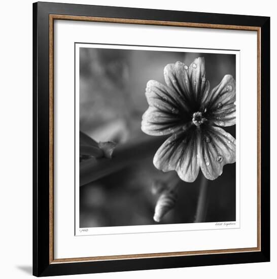 Botanical Study 19-Stacy Bass-Framed Giclee Print