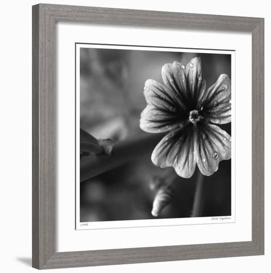 Botanical Study 19-Stacy Bass-Framed Giclee Print