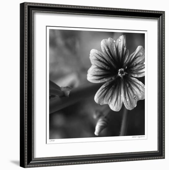 Botanical Study 19-Stacy Bass-Framed Giclee Print