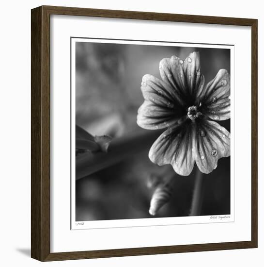 Botanical Study 19-Stacy Bass-Framed Giclee Print