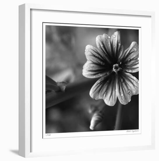 Botanical Study 19-Stacy Bass-Framed Giclee Print