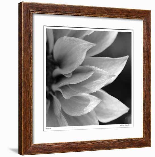 Botanical Study 1-Stacy Bass-Framed Giclee Print