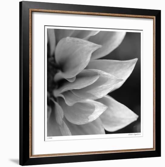 Botanical Study 1-Stacy Bass-Framed Giclee Print