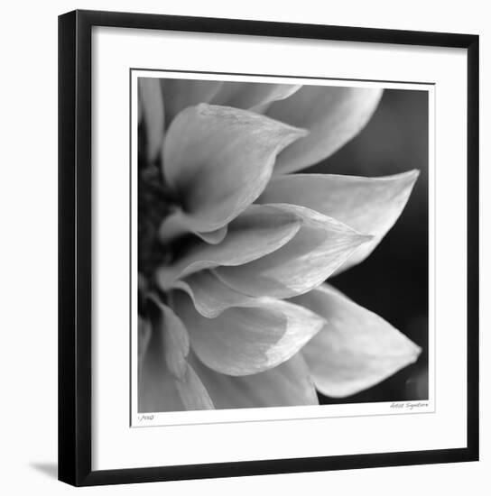 Botanical Study 1-Stacy Bass-Framed Giclee Print