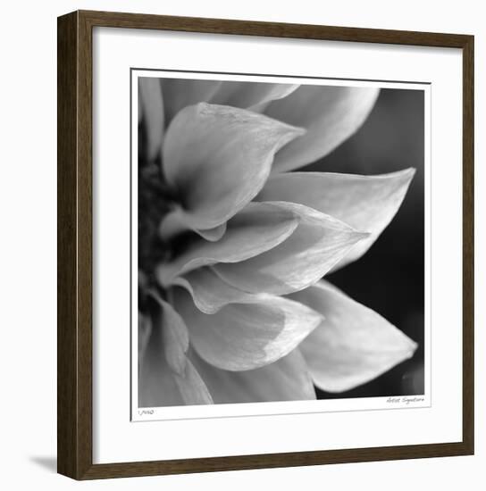 Botanical Study 1-Stacy Bass-Framed Giclee Print