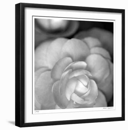 Botanical Study 20-Stacy Bass-Framed Giclee Print