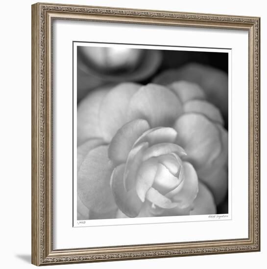 Botanical Study 20-Stacy Bass-Framed Giclee Print