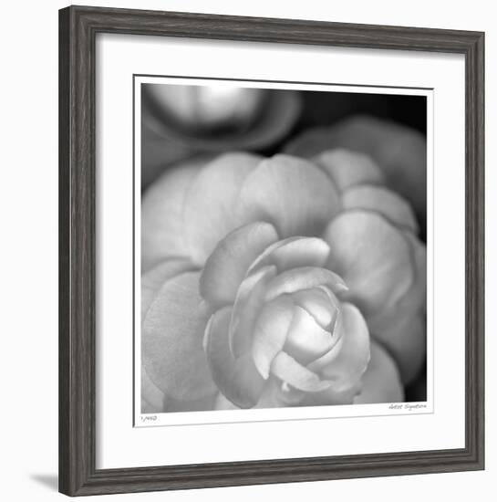 Botanical Study 20-Stacy Bass-Framed Giclee Print