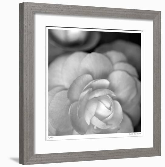 Botanical Study 20-Stacy Bass-Framed Giclee Print