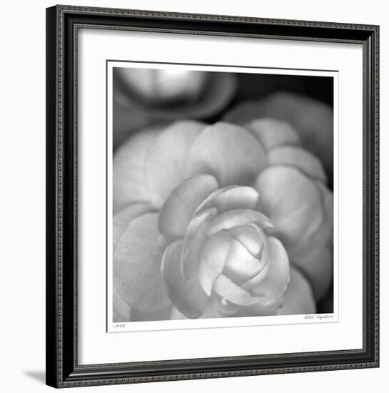 Botanical Study 20-Stacy Bass-Framed Giclee Print