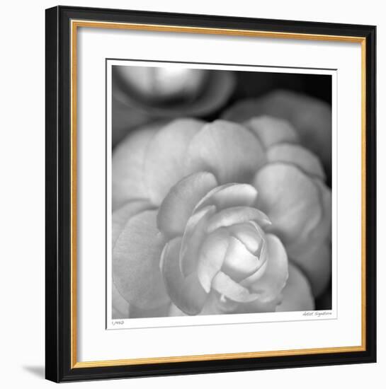 Botanical Study 20-Stacy Bass-Framed Giclee Print