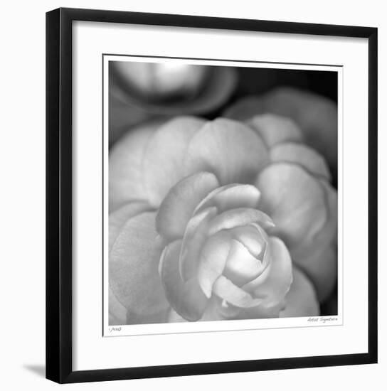 Botanical Study 20-Stacy Bass-Framed Giclee Print