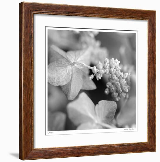 Botanical Study 2-Stacy Bass-Framed Giclee Print