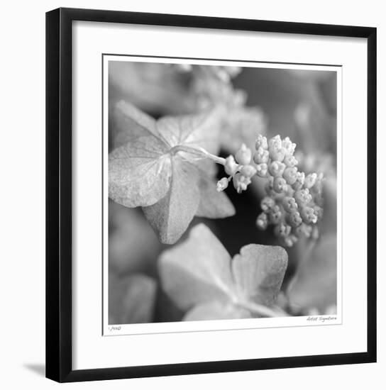 Botanical Study 2-Stacy Bass-Framed Giclee Print