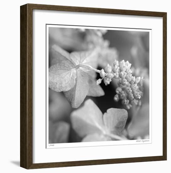 Botanical Study 2-Stacy Bass-Framed Giclee Print