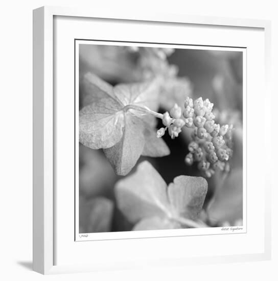 Botanical Study 2-Stacy Bass-Framed Giclee Print