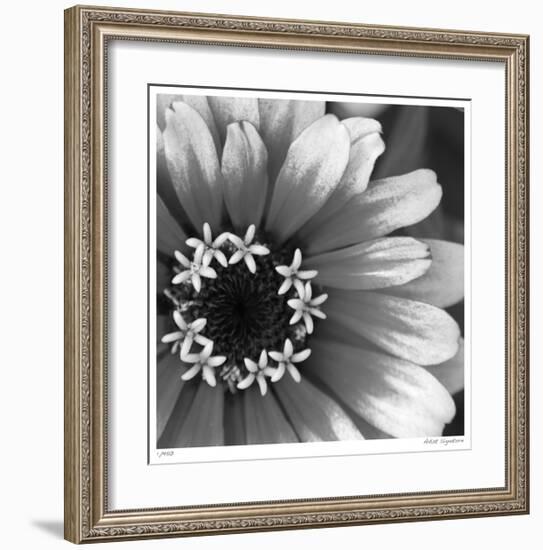 Botanical Study 3-Stacy Bass-Framed Giclee Print