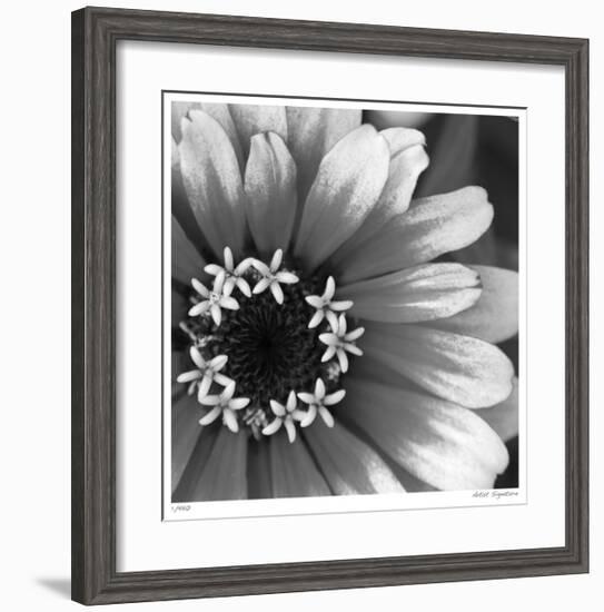 Botanical Study 3-Stacy Bass-Framed Giclee Print