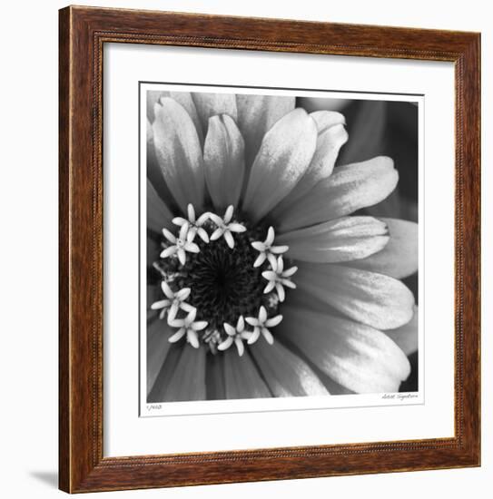 Botanical Study 3-Stacy Bass-Framed Giclee Print