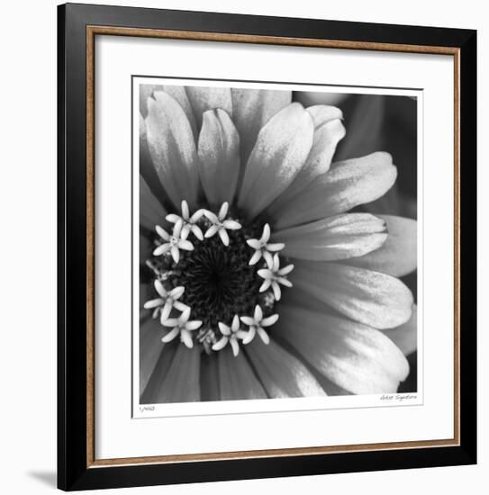 Botanical Study 3-Stacy Bass-Framed Giclee Print