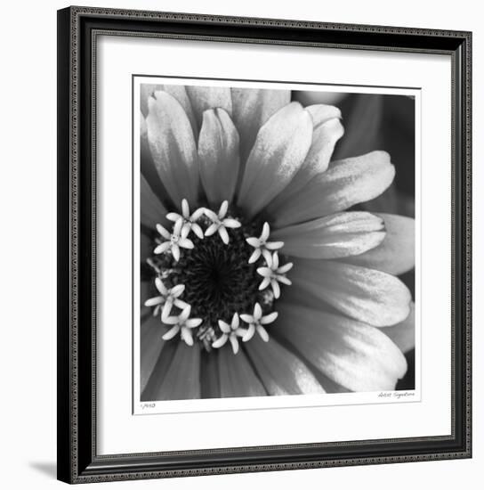 Botanical Study 3-Stacy Bass-Framed Giclee Print