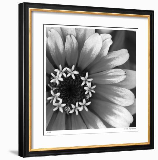 Botanical Study 3-Stacy Bass-Framed Giclee Print